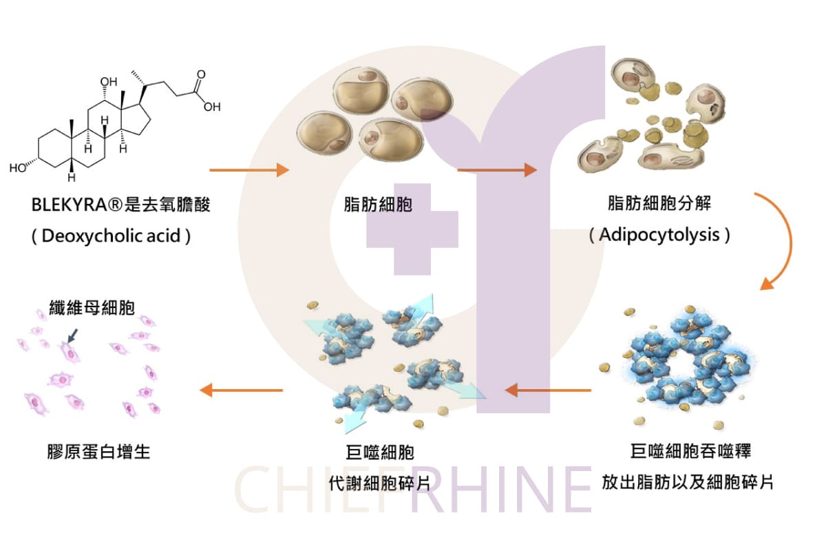 fat-removal process (chemical formula)